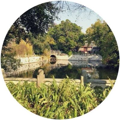 电玩城金鲨银鲨app下载